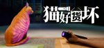 猫好货坏