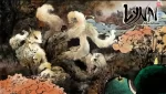 琳 ， 画在方块上的少女故事/Lynn , The Girl Drawn On Puzzles