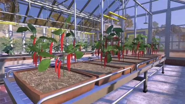 农民模拟器/农民王朝/农民王朝/农民朝代/Farmer’s Dynasty