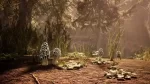 羊肚菌：狩猎游戏/Morels: The Hunt