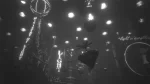 白影/白色阴影/White Shadows