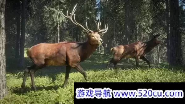 猎人：野性的呼唤/荒野的召唤