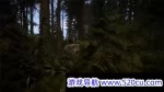 森林之子/Sons Of The Forest
