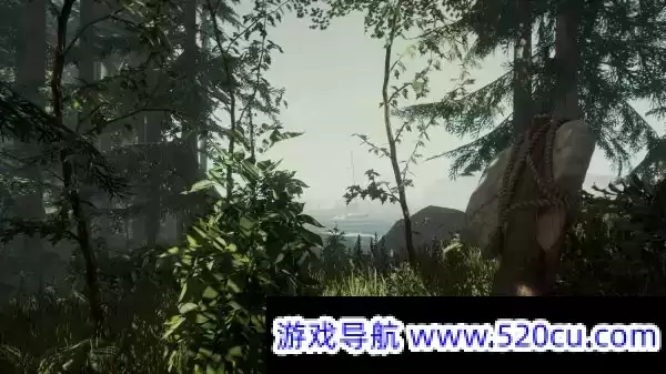 森林/迷失森林/The Forest