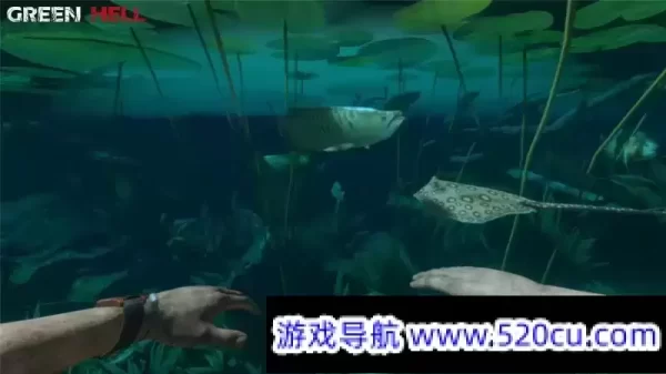 绿色地狱/丛林地狱/Green Hell