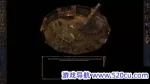 博德之门加强版/单机.网络联机