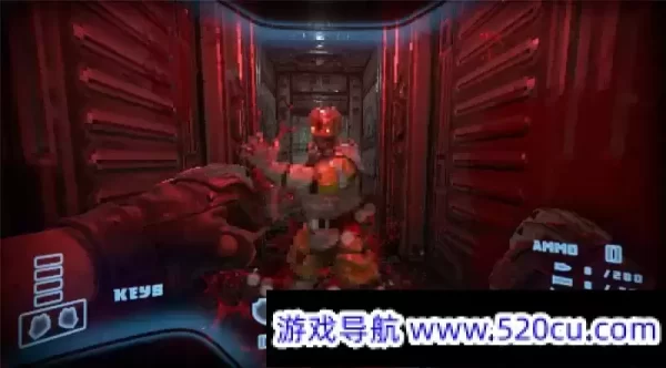 Prodeus/支持网络联机
