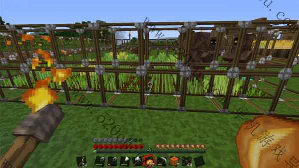 我的天下/Minecraft